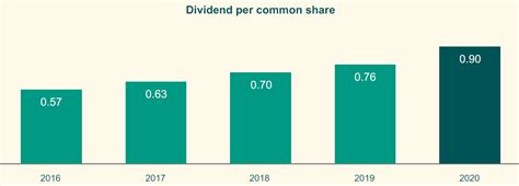 ahold delhaize dividend.